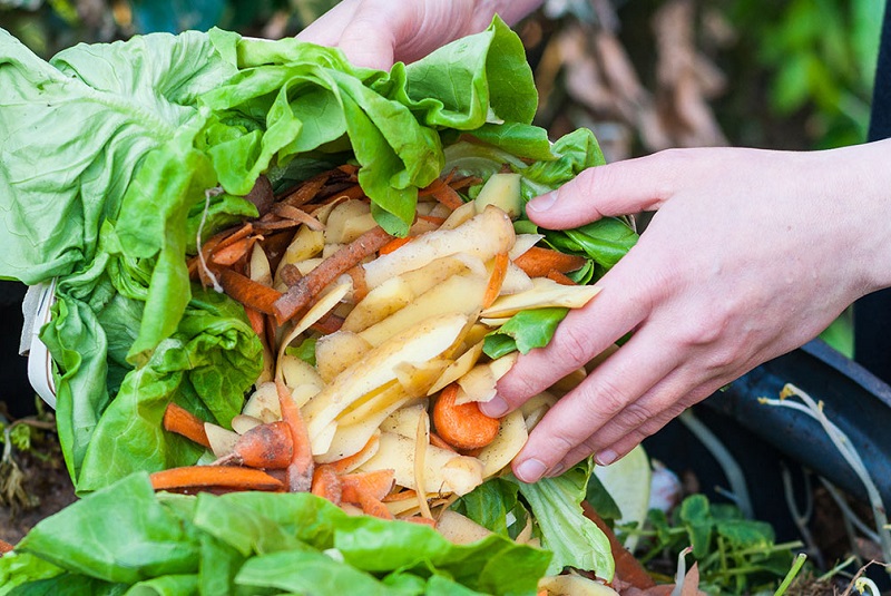 Food waste, a challenge that is solvable <br><small>- By Sonia Ytuarte Nasser</small>