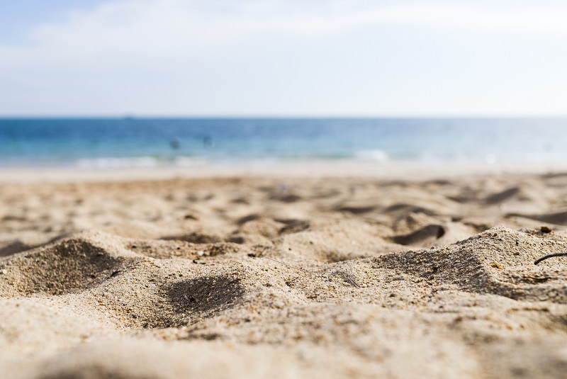 Beach cleaning: All you need to know
