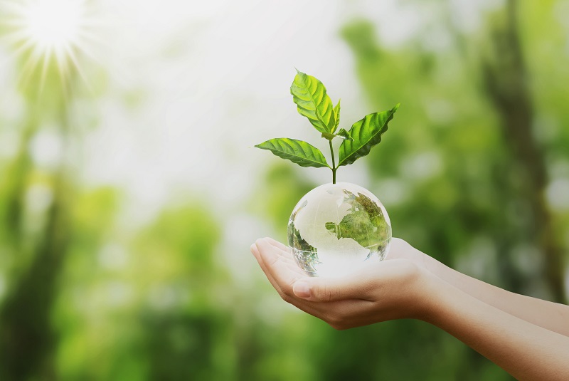 Taking the circular path for sustainable development
