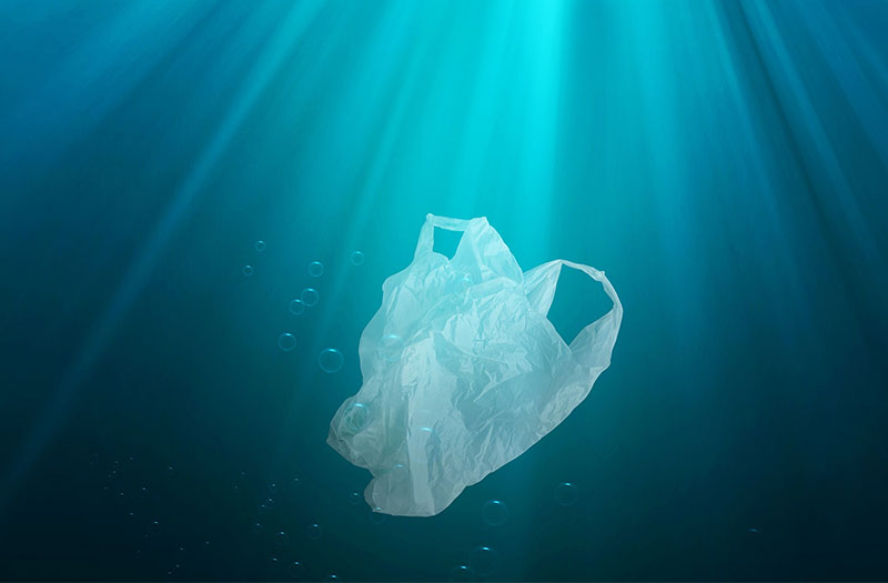 The Environment Agency - Abu Dhabi announces ban on single-use plastic bags from June 2022