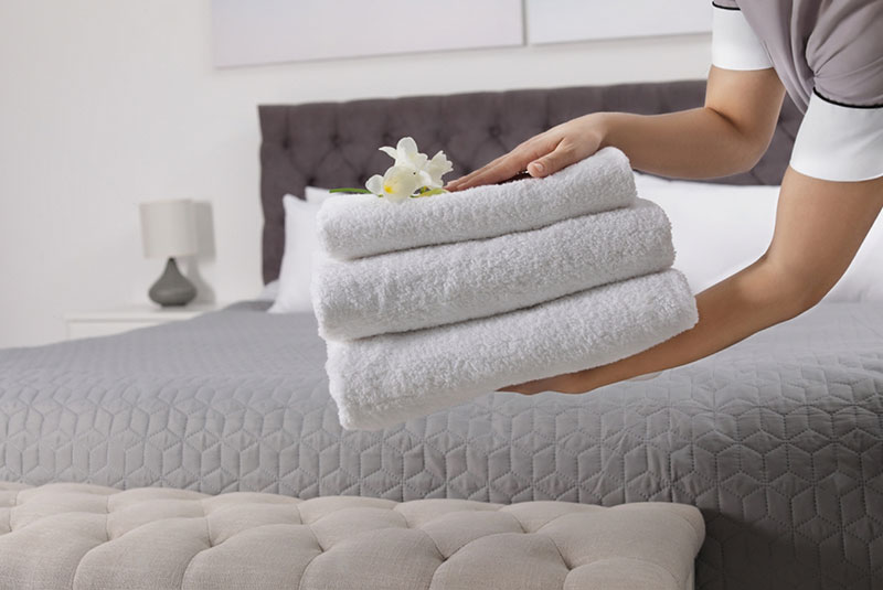 Housekeeping in Egypt: What lies in the future?