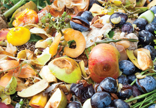 Report: The Avoidable Crisis of Food Waste